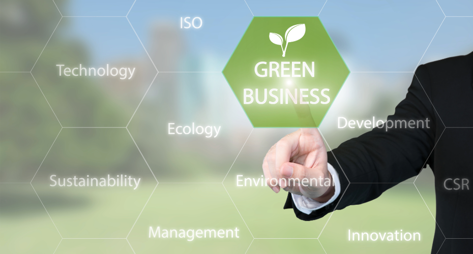 sustainable, green businesses